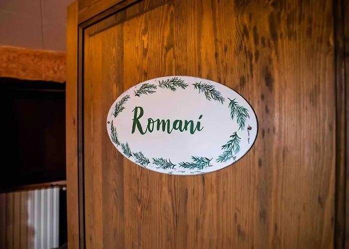 Ollé * Rubio