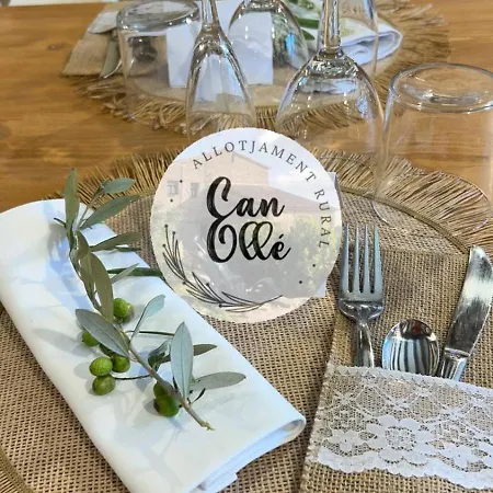 Can Olle Dağ evi